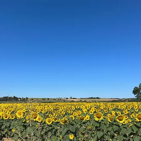 Le Clos Sainte Marie - Crouzette * Cenne-Monesties